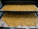 Dehydrator Trays