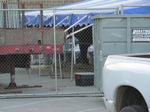 Elephant Under Awning - Comcast Arena, Everett, WA