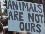 Animals Are Not&nbsp;Ours