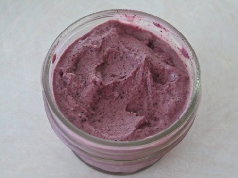 Vegan Blueberry Ice Cream