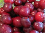 Plums – IMG_0324