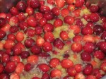 Pineapple Cranberry Sauce –&nbsp;IMG_0772
