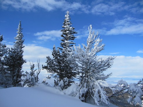 December 29th - Mission Ridge, WA