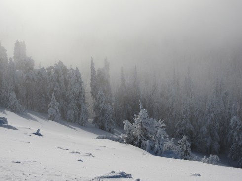 December 30th - Mission Ridge, WA