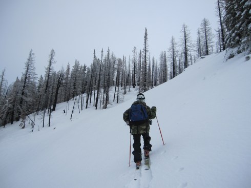 Enjoying the skin up.