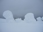 Snow Ghosts –&nbsp;IMG_2103