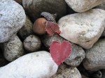 Heart Leaf –&nbsp;IMG_5820