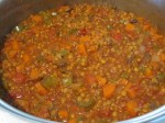 Sloppy Lentils –&nbsp;IMG_2346
