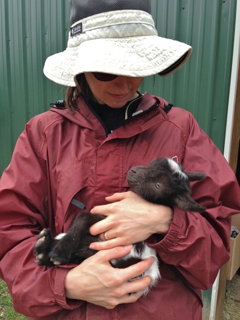 Crippled Goat - photo-7