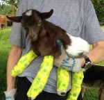 Elisa Holding Tatonka