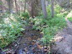 Bear Creek & Trail –&nbsp;IMG_2579