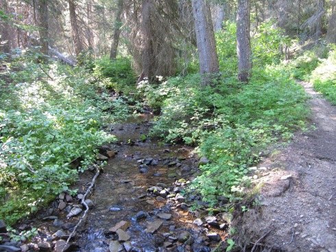 Bear Creek and Bear Creek Trail
