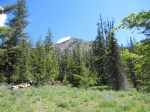 Navaho Peak –&nbsp;IMG_2593
