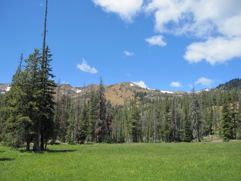 Meadow/Camp near 5000 ft