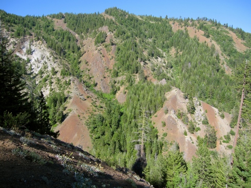 Iron Cr/Bear Cr Trail cuts across that slope ahead
