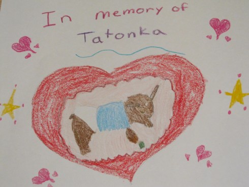 Drawing of Tatonka, by my niece (age 9)