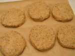 Burger Patties –&nbsp;IMG_2999