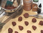 Coconut Cacao Nut Butter Bites –&nbsp;IMG_3024