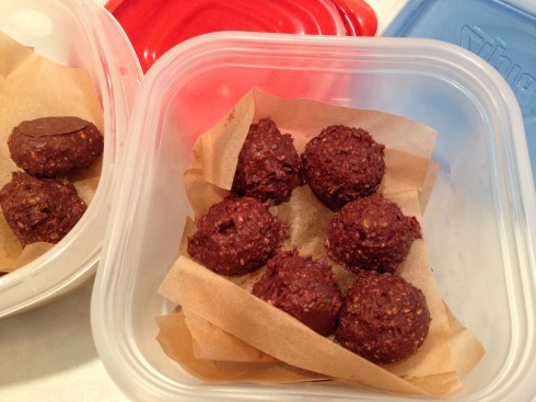 Coconut Cacao Nut Butter Bites (NSNG) 