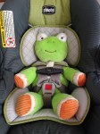 Frog in Car Seat –&nbsp;IMG_1553