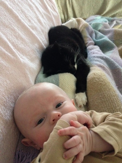 Todd was almost 3 months old - November 13, 2014