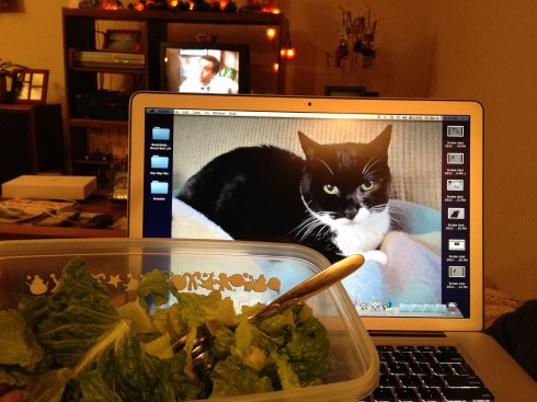 At the condo for a ski weekend and missing Millie - March 8, 2013