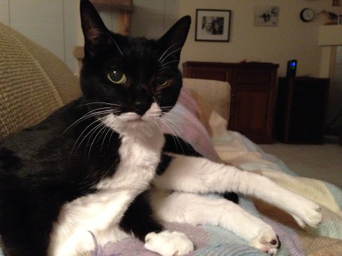 Millie - November 16, 2013