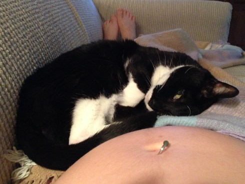 My pregnant belly & Millie - May 15, 2014