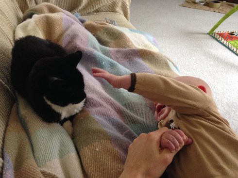 Millie and Todd - February 6, 2015