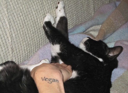 Millie - December 5, 2011