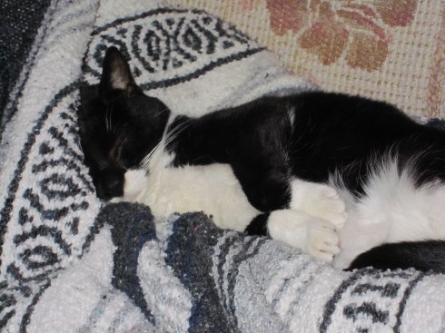 Cuddles with Eric - December 14, 2011