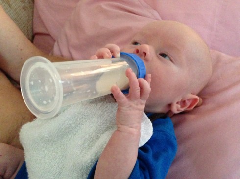 1 month old - September 26, 2014