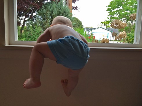 Climbing the wall! - May 22, 2015