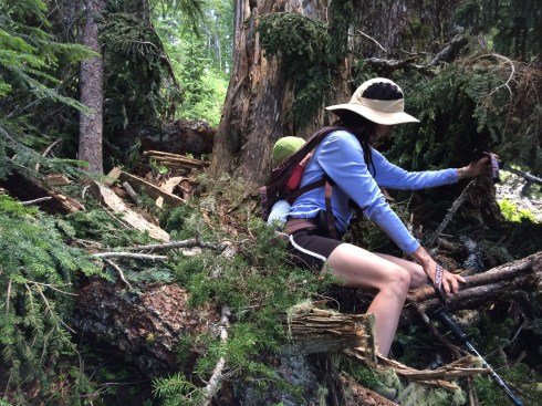 Blow down negotiating