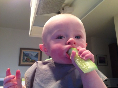Gumming a cucumber stick - 6.5 months old - March 4, 2015