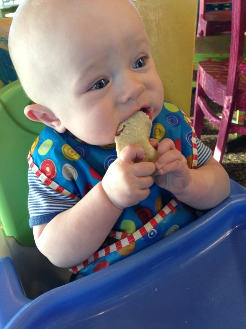 Munching on a corn tortilla - 6.5 months old - March 7, 2015