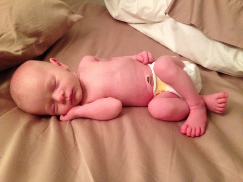 2 weeks old - September 5, 2014