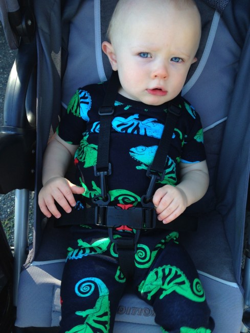 Almost 1 Year - August 19, 2015