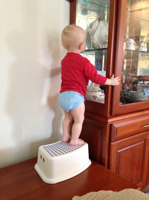 He carried that step stool up there all by himself - September 17, 2015