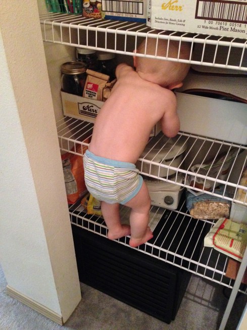 He needed some mustard powder - October 12, 2015