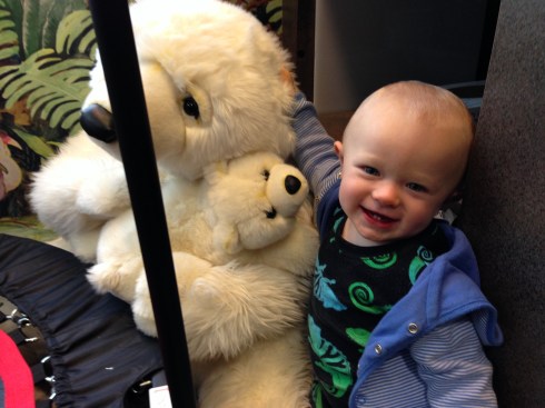 The bear at the dentist office - October 28, 2015