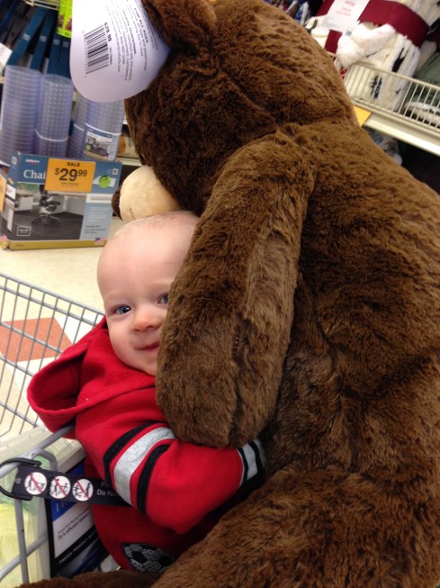 Pillow bear - Love at first sight! - November 3, 2015