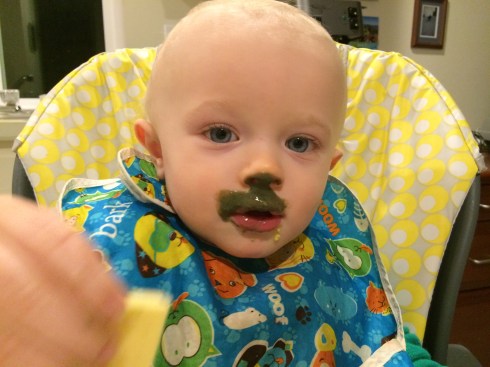 Good eats (green smoothie and Chao vegan cheese) - January 14, 2016