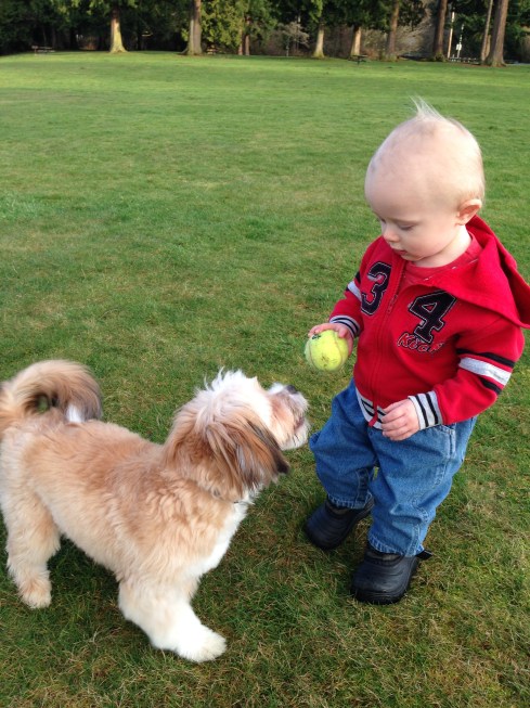 Playing with a new friend - January 24, 2016