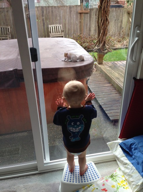 Watching his squirrel friend - February 19, 2016