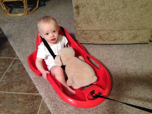 Going for a ride in the sled - March 5, 2016