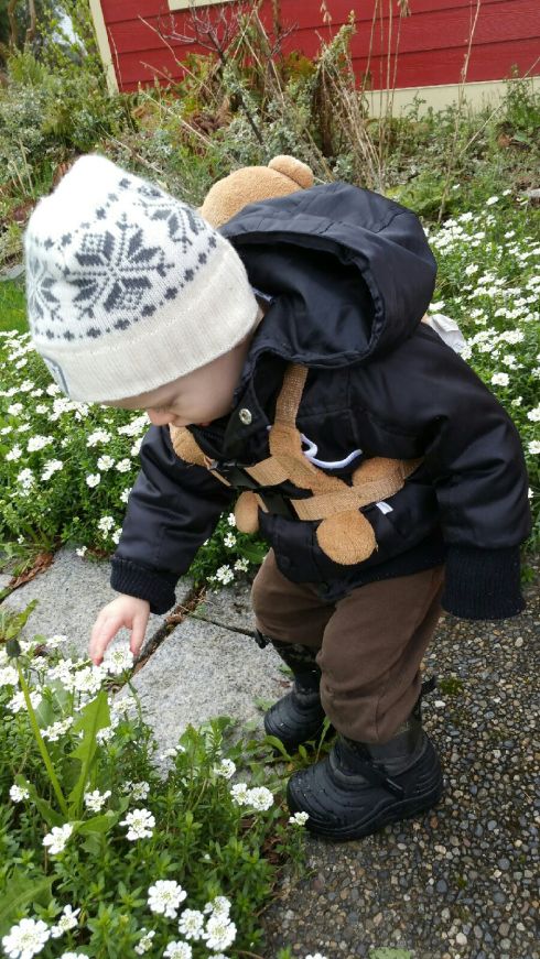 Babysitter pic - March 11, 2016