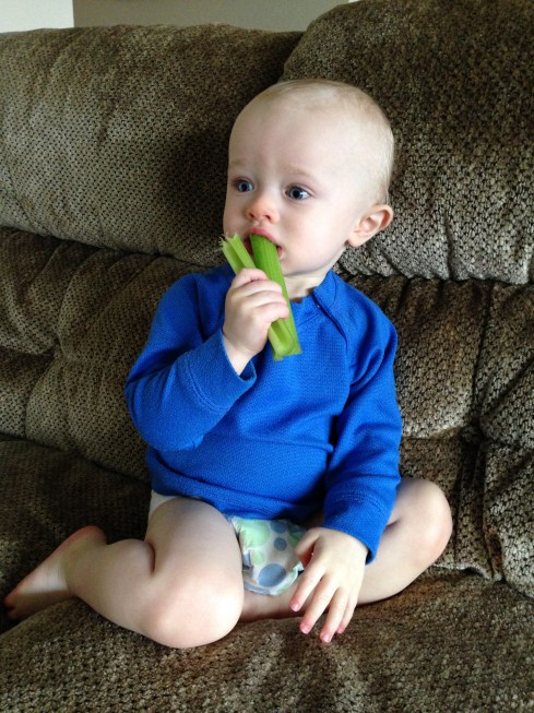 Celery teether - March 12, 2016