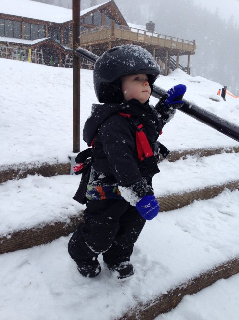 He loves to go up and down the stairs - March 13, 2016