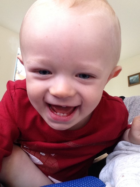 19.5 months old - April 1, 2016